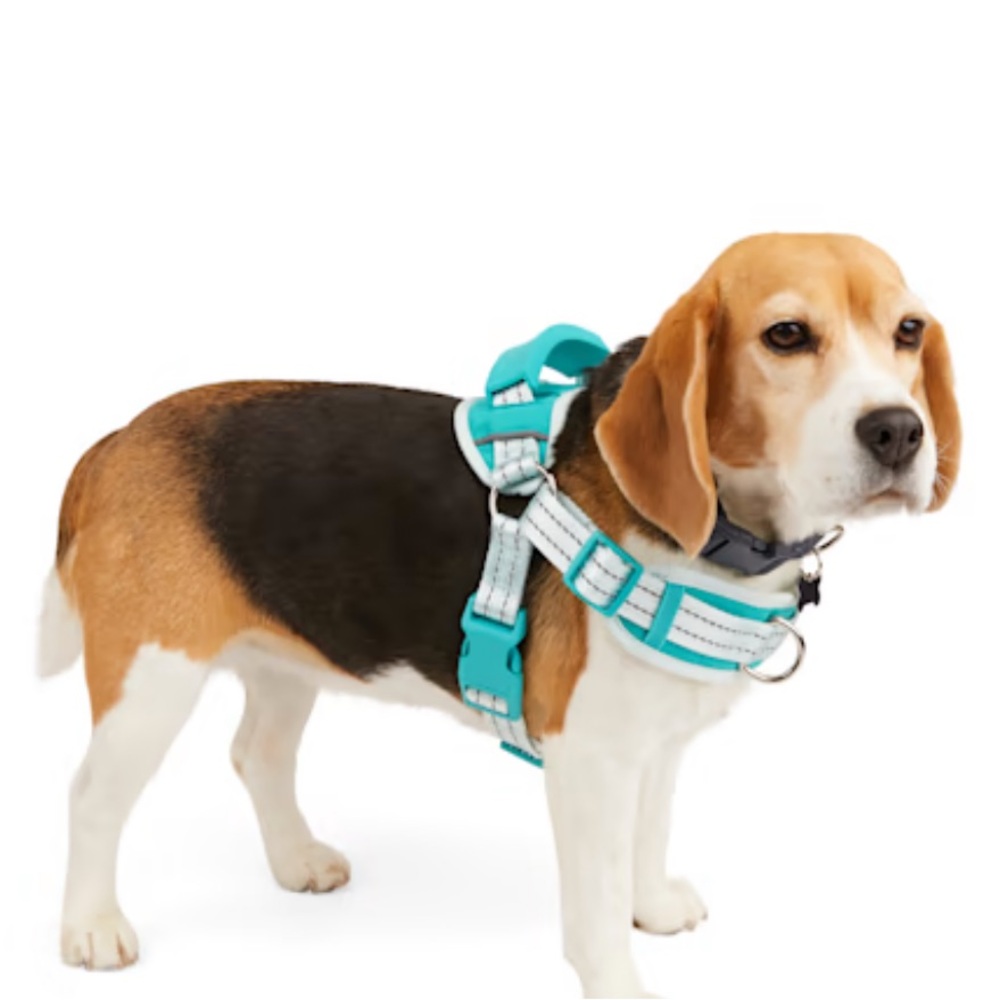 EveryYay Embrace the Pace Training Dog Harness Blue